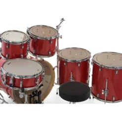 Ludwig Evolution 22