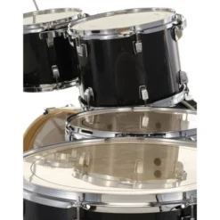 Ludwig Evolution 22