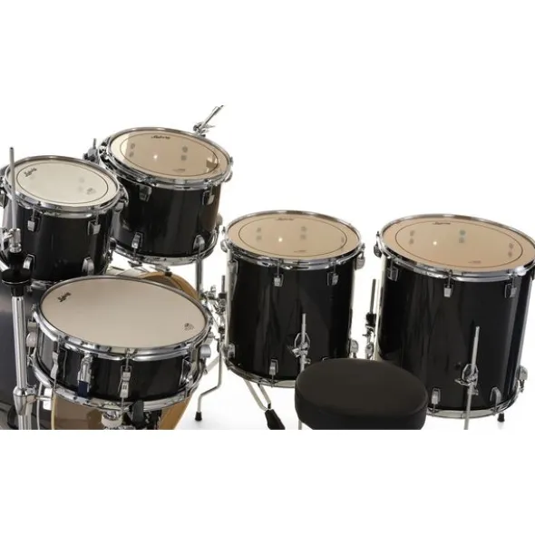 Ludwig Evolution 22" 6pc Moon Dust