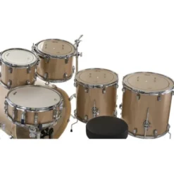 Ludwig Evolution 22
