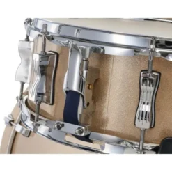 Ludwig Evolution 22