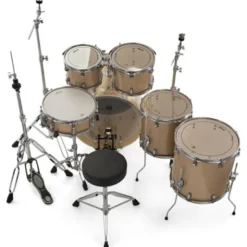 Ludwig Evolution 22