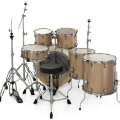 Ludwig Evolution 22
