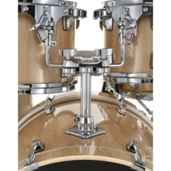 Ludwig Evolution 22