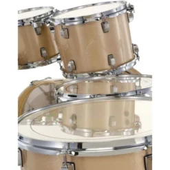 Ludwig Evolution 22
