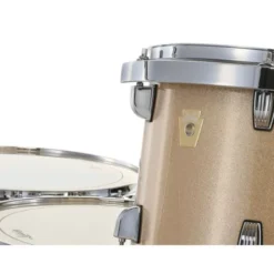 Ludwig Evolution 22