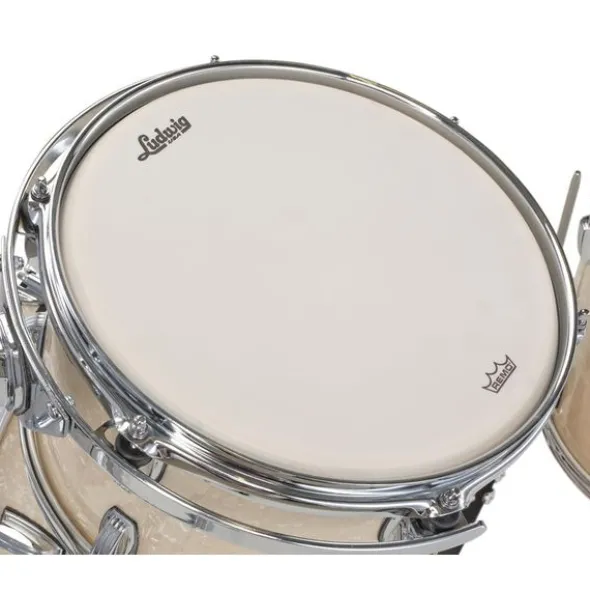 Ludwig Legacy Maple Downbeat V.White