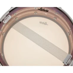Ludwig 14