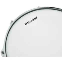 Ludwig 13