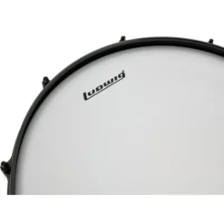 Ludwig 14