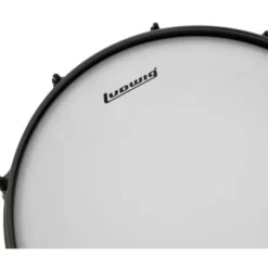 Ludwig 14