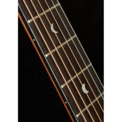 Luna Guitars Vista Deer