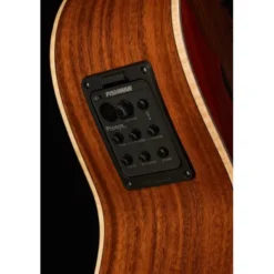 Luna Guitars Vista Deer