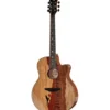 Luna Guitars Vista Eagle