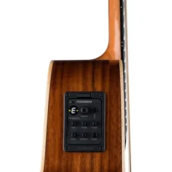 Luna Guitars Vista Eagle