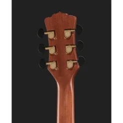 Luna Guitars Vista Eagle