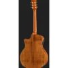 Luna Guitars Vista Stallion