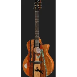 Luna Guitars Vista Stallion