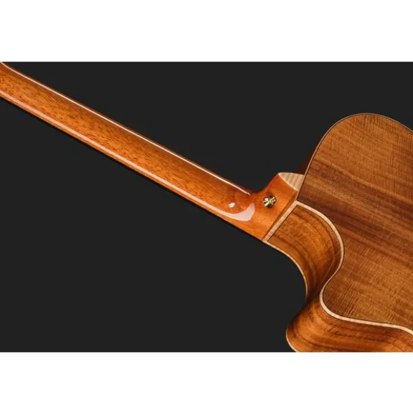 Luna Guitars Vista Stallion