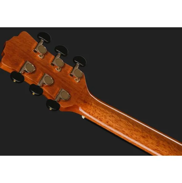 Luna Guitars Vista Stallion