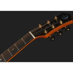 Luna Guitars Vista Stallion