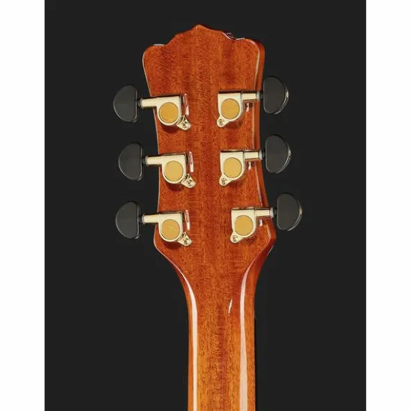 Luna Guitars Vista Wolf Cutaway A/E