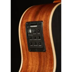 Luna Guitars Vista Wolf Cutaway A/E