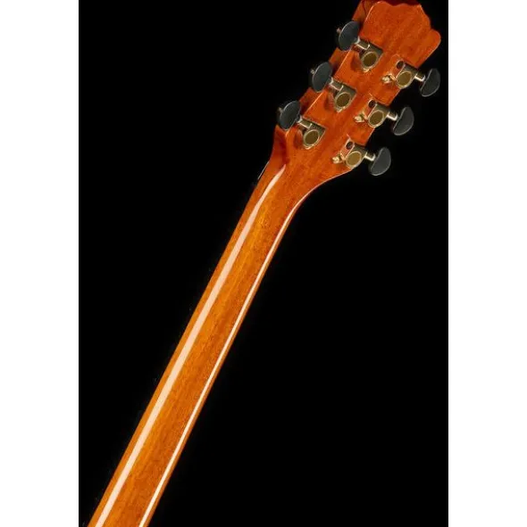 Luna Guitars Vista Wolf Cutaway A/E