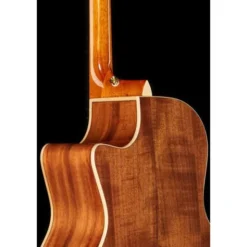 Luna Guitars Vista Wolf Cutaway A/E