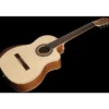 Manuel Rodriguez Ecologia Samba Truss Rod