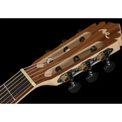 Manuel Rodriguez Ecologia Samba Truss Rod