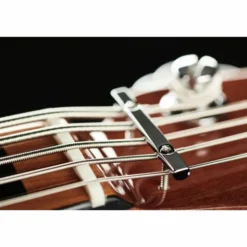 Marcus Miller V5 Alder-5 TS