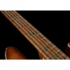 Marcus Miller V10DX-5 TS