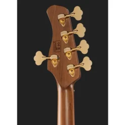Marcus Miller V10DX-5 TS