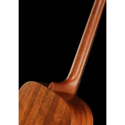 Martin Guitar D17