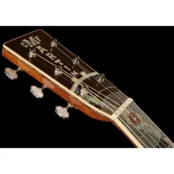 Martin Guitar D-200 Deluxe