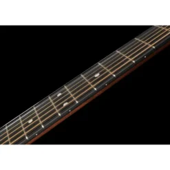 Martin Guitar D-10E-01 Sapele LH