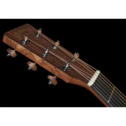 Martin Guitar D-10E-01 Sapele LH