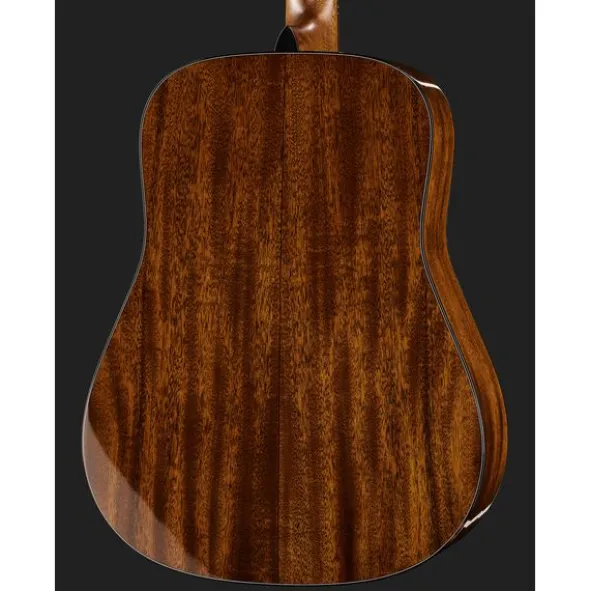 Martin Guitar D-19 190th anniversary