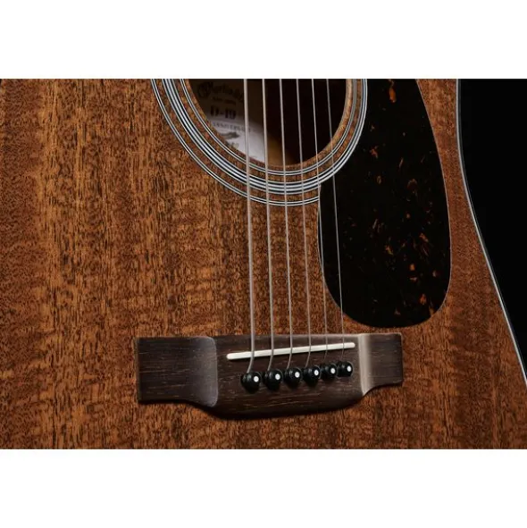 Martin Guitar D-19 190th anniversary