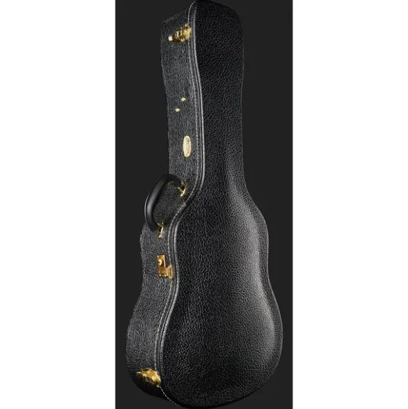 Martin Guitar D-19 190th anniversary