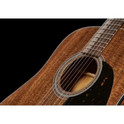 Martin Guitar D-19 190th anniversary