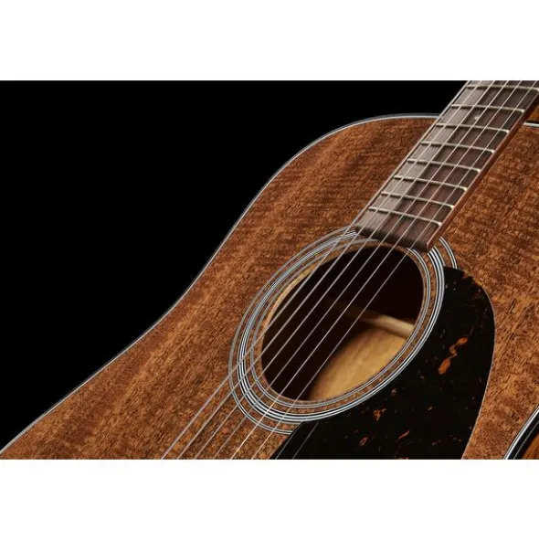 Martin Guitar D-19 190th anniversary