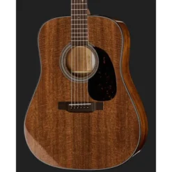 Martin Guitar D-19 190th anniversary