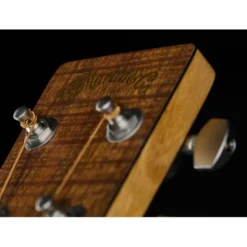 Martin Guitar DX1E Koa