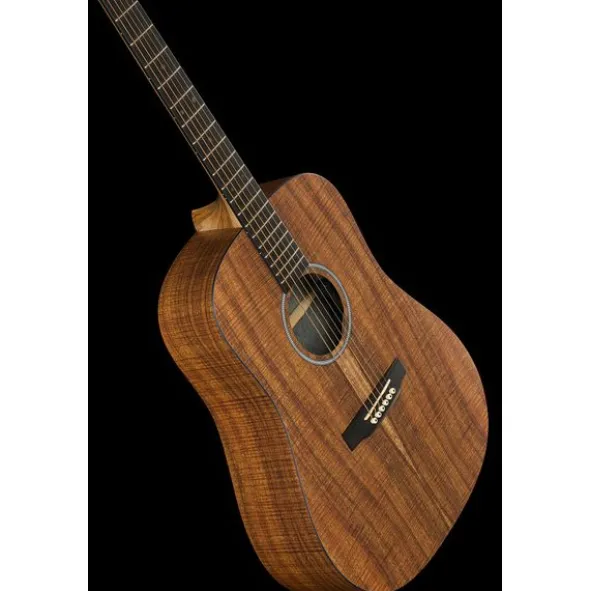 Martin Guitar DX1E Koa