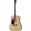 Martin Guitar D-X2EL Rosewood LH