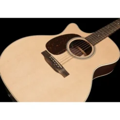 Martin Guitar GPC-16E-01 LH