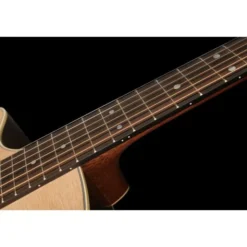 Martin Guitar GPC-16E-01 LH