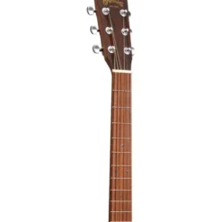 Martin Guitar GPC-X2E Cocobolo